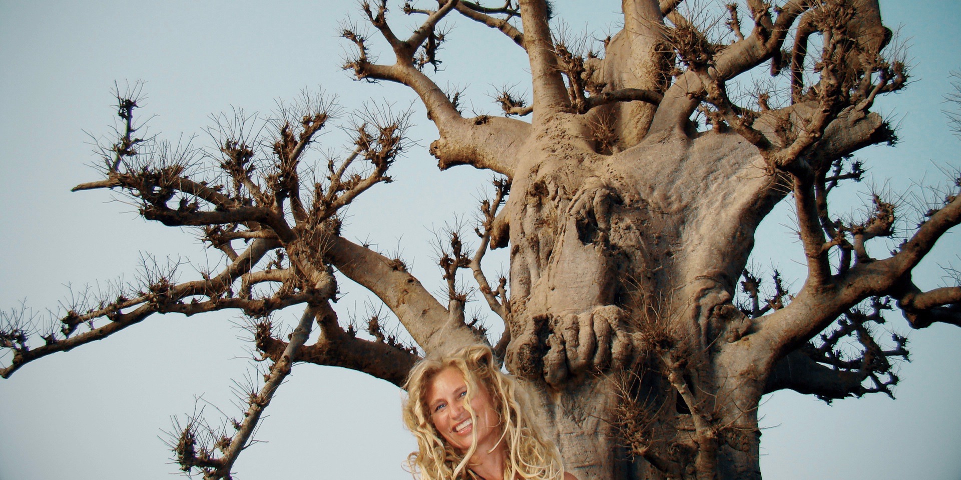Baobab.The tree of the trees