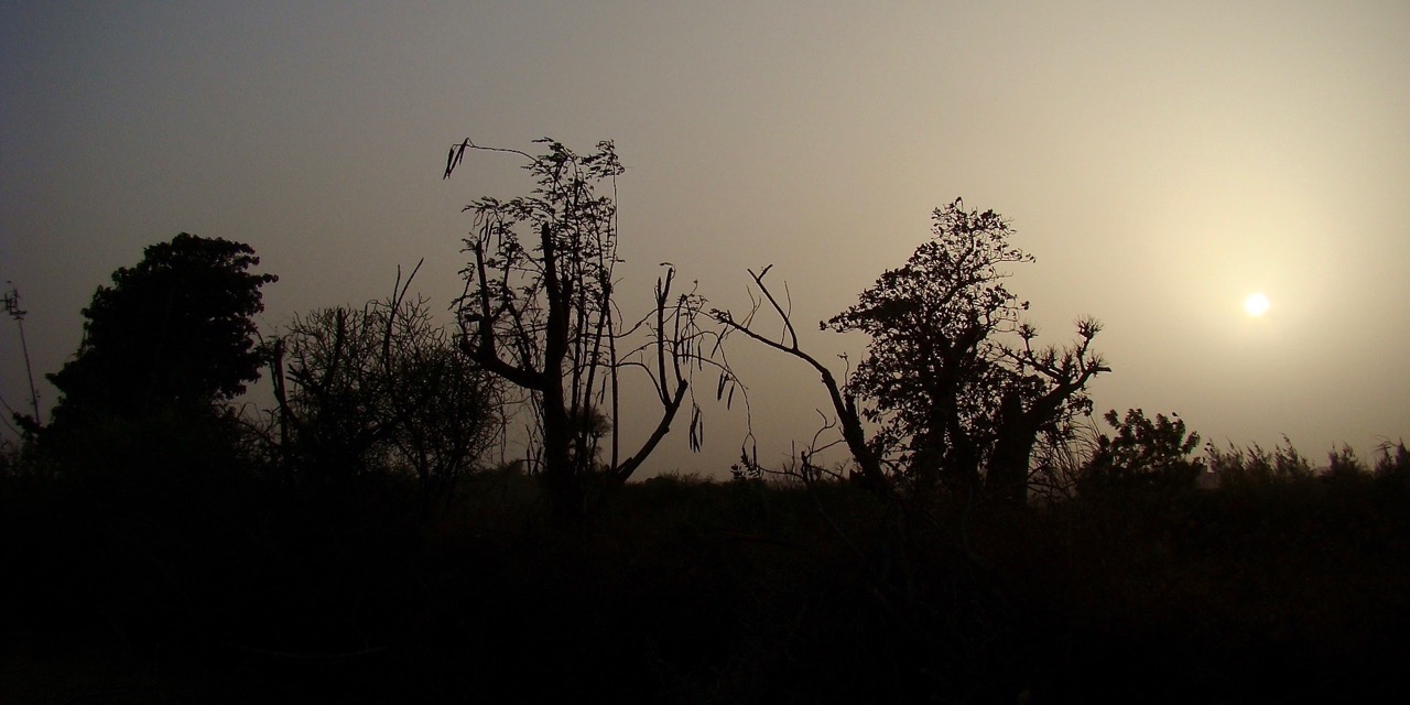 DSC00860